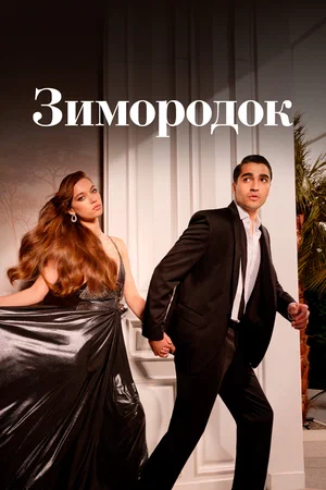 Зимородок 2 сезон (2024)