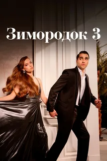 Зимородок 3 сезон (2025) 28-29 серия